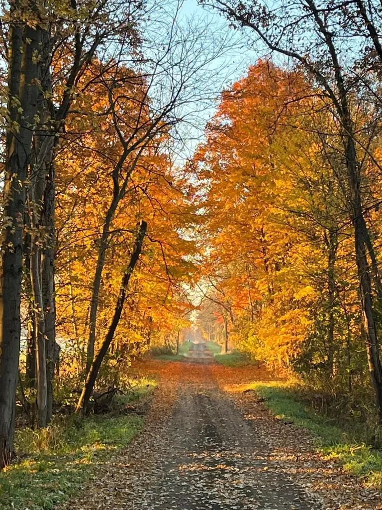 1255 Burbank Road Butler Township MI 49082