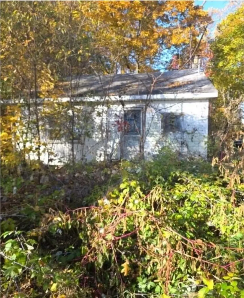 801 Best Street Vicksburg Village MI 49097