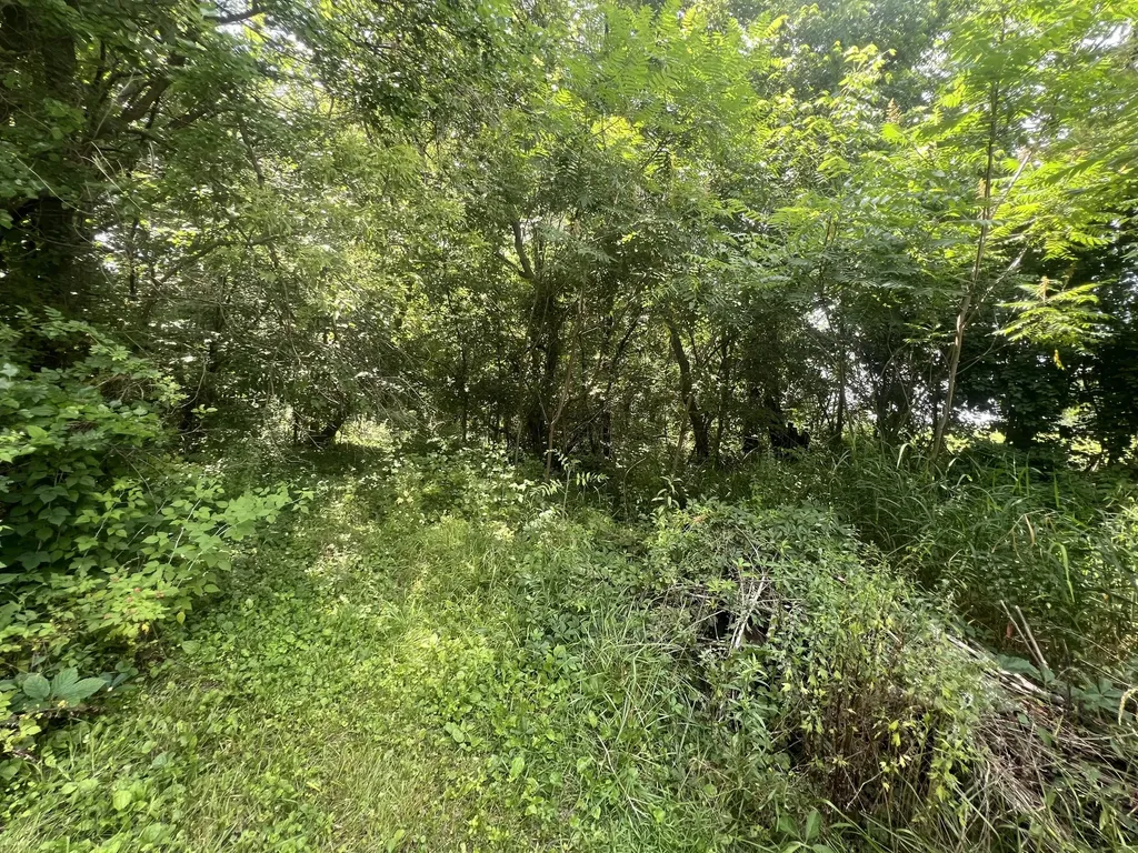 2117 E Jackson Drive Tekonsha Township MI 49092