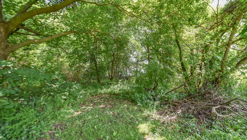 489 N Ray Quincy Road Quincy Township MI 49082