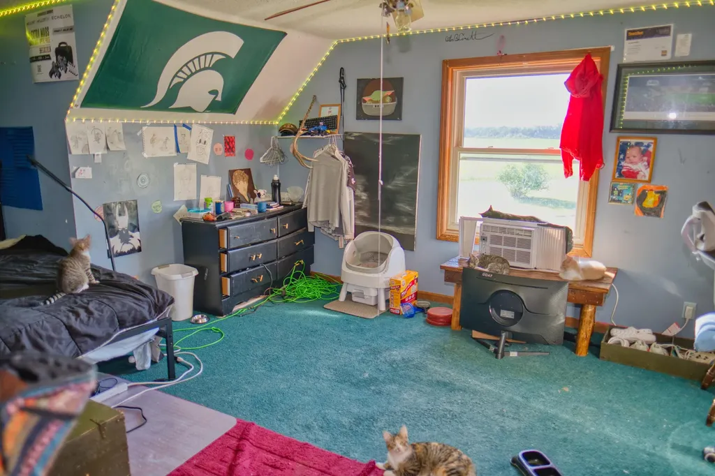 11905 Coman Road Wright Township MI 49288