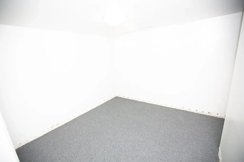 31 Vine Street Hillsdale City MI 49242