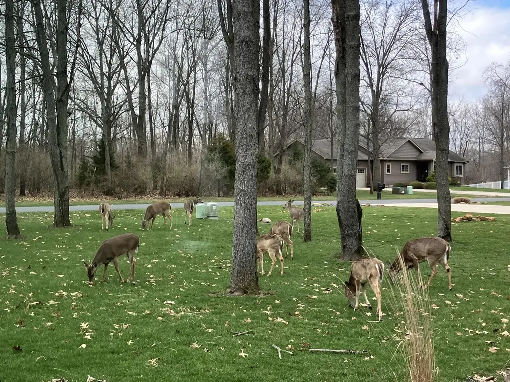 651 Woodchuck Drive Coldwater City MI 49036