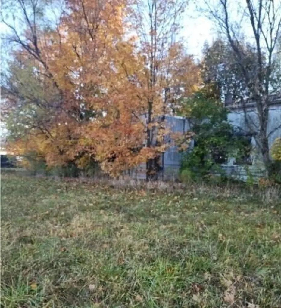 10044 8 Mile Road Newton Township MI 49033