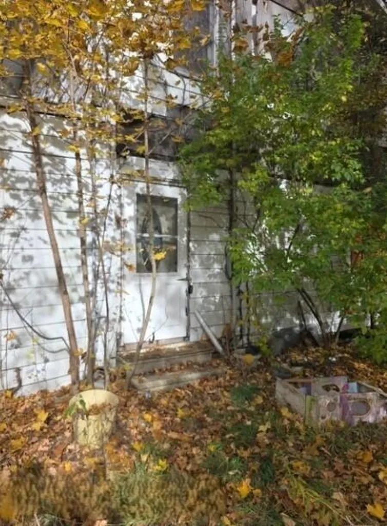 10044 8 Mile Road Newton Township MI 49033