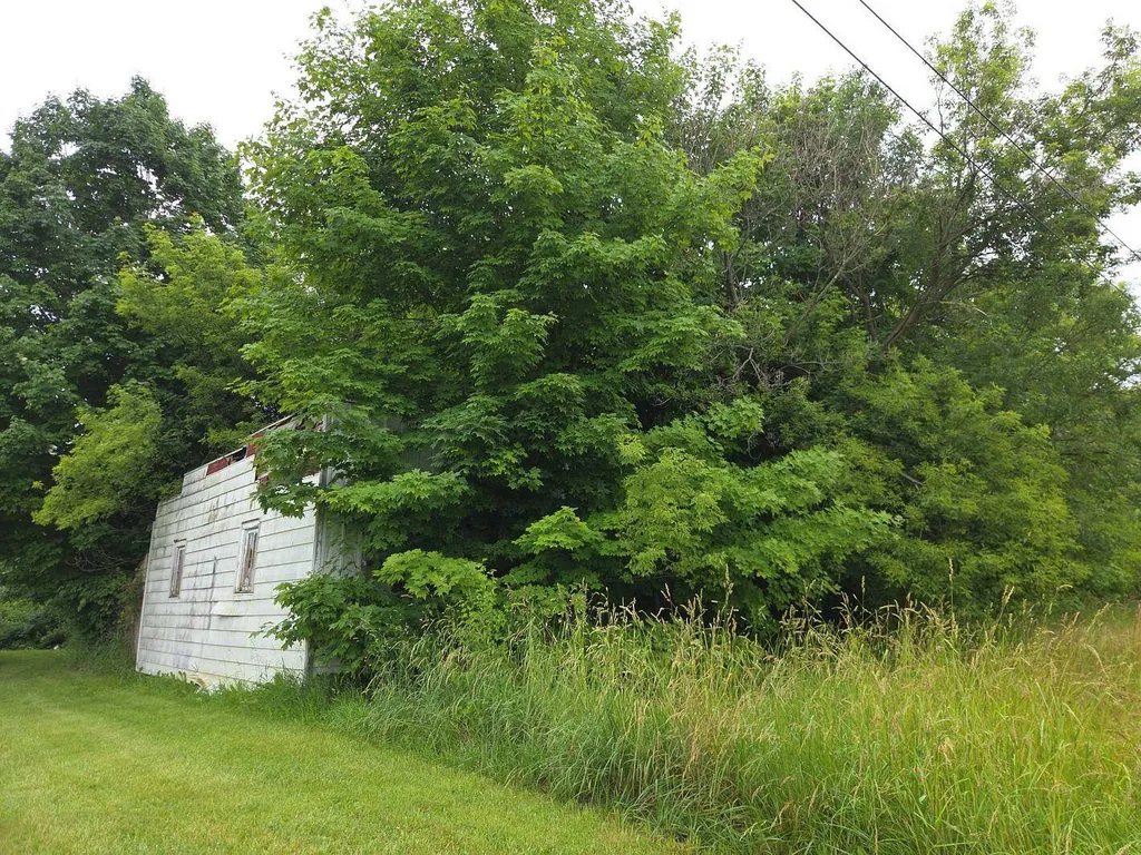 10044 8 Mile Road Newton Township MI 49033