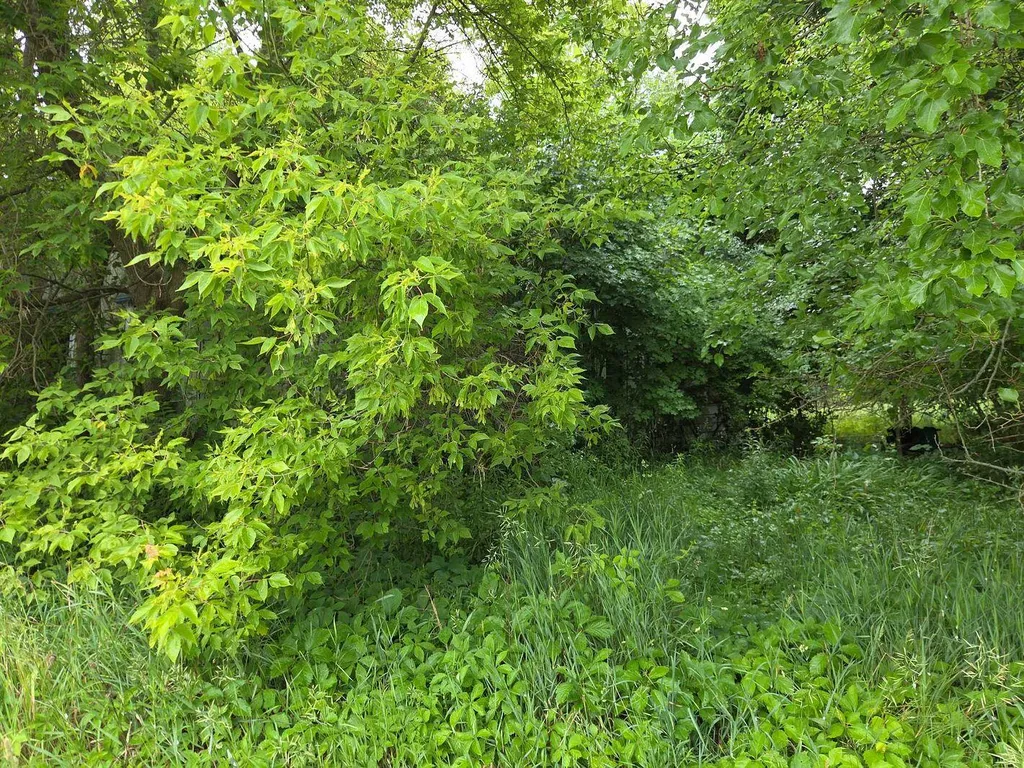 10044 8 Mile Road Newton Township MI 49033