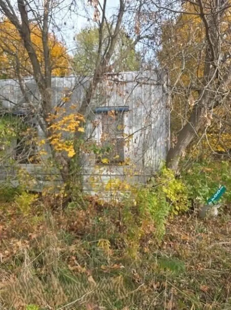10044 8 Mile Road Newton Township MI 49033