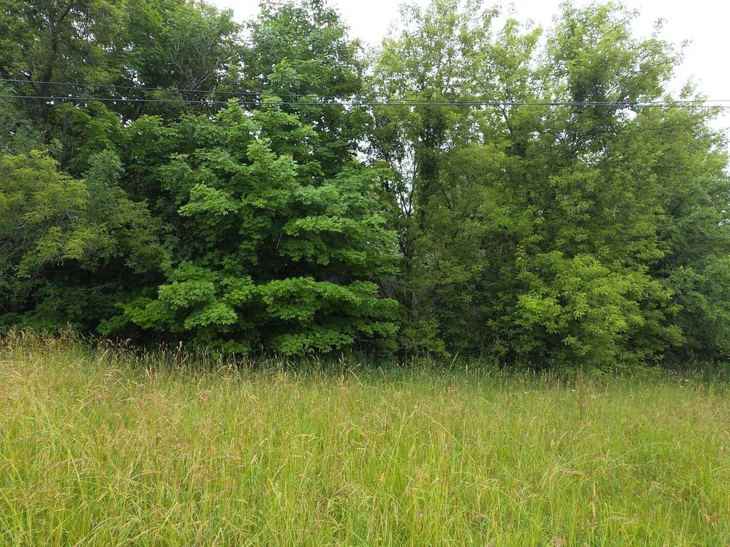 10044 8 Mile Road Newton Township MI 49033