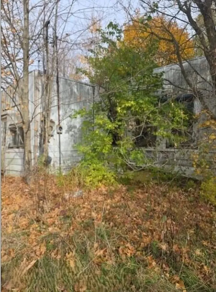 10044 8 Mile Road Newton Township MI 49033