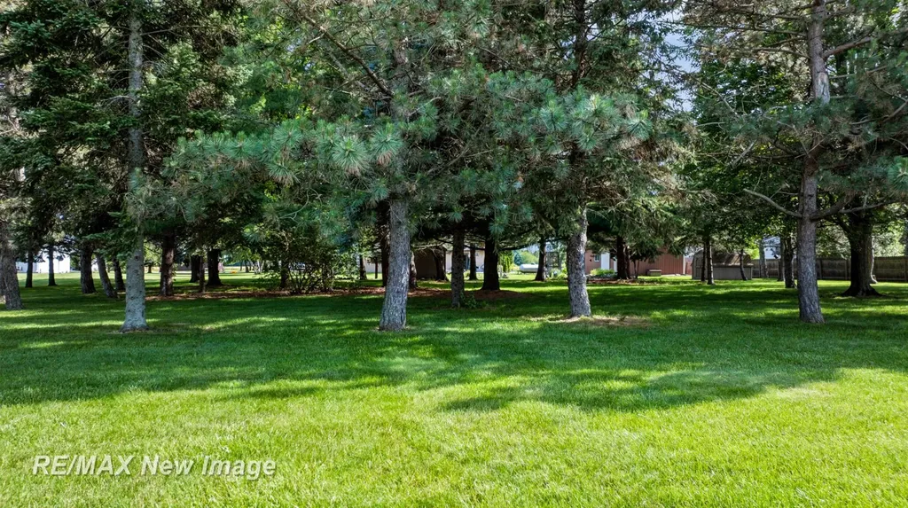 6180 W Freeland Road Frankenlust Township MI 48623
