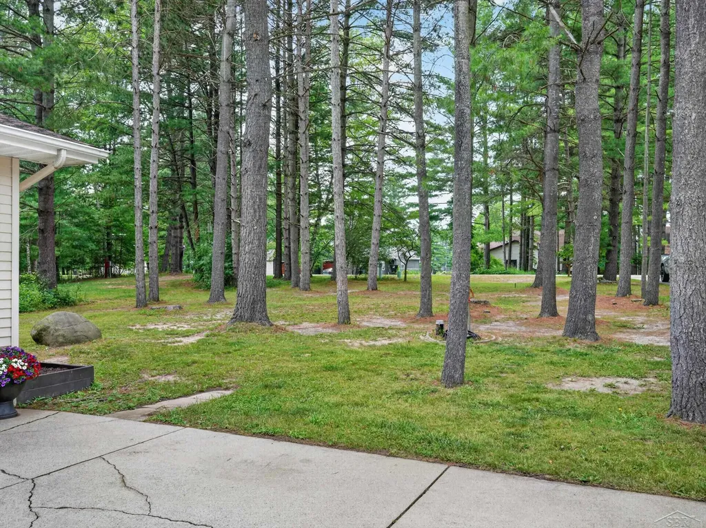 4514 W Salisbury Drive Butman Township MI 48624