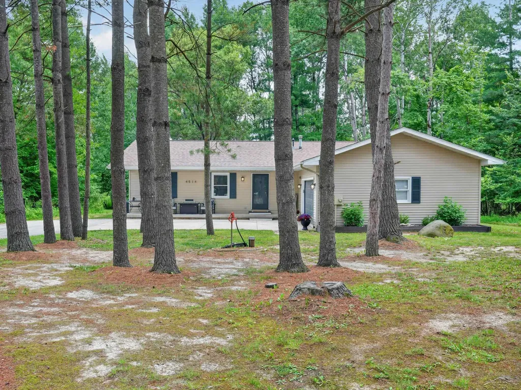 4514 W Salisbury Drive Butman Township MI 48624