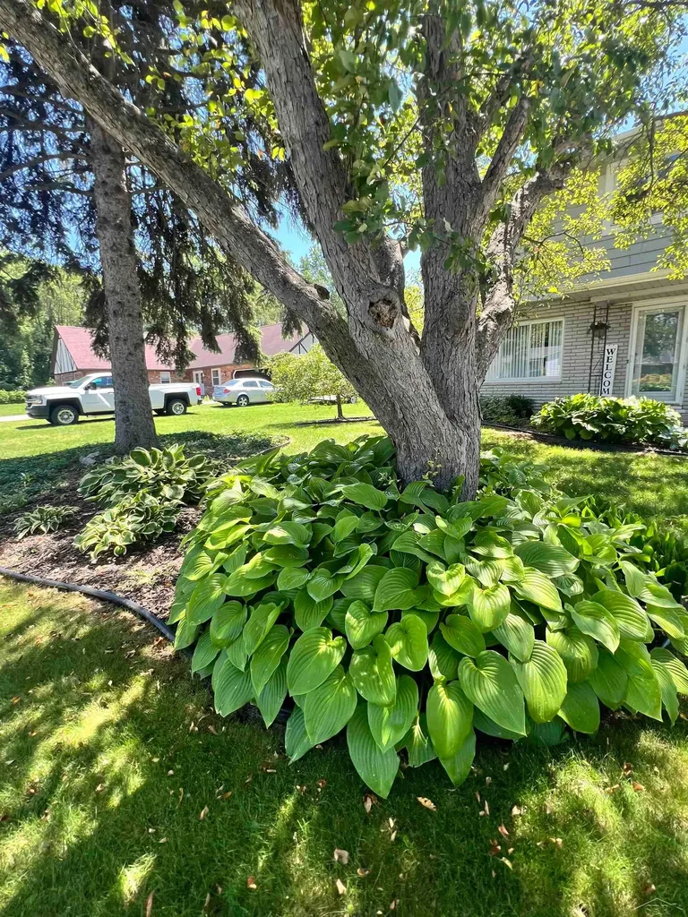 1947 Crescent Drive Carrollton Township MI 48604