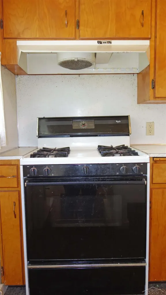 326 S Clark Street Chesaning Village MI 48616