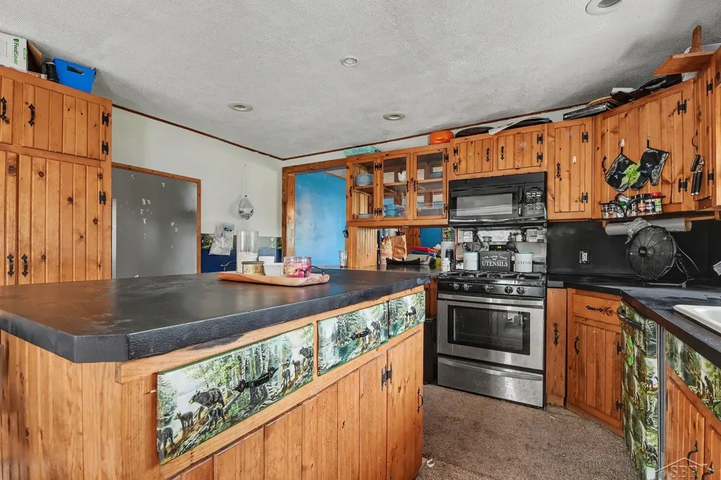 10602 Jordan Lake Road Odessa Township MI 48849