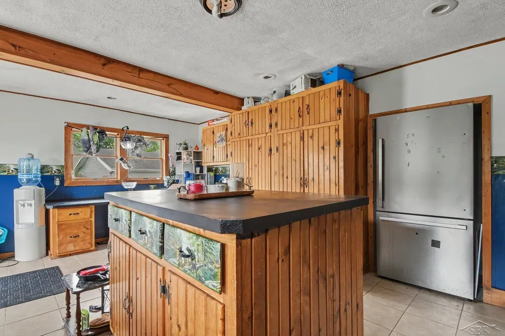 10602 Jordan Lake Road Odessa Township MI 48849
