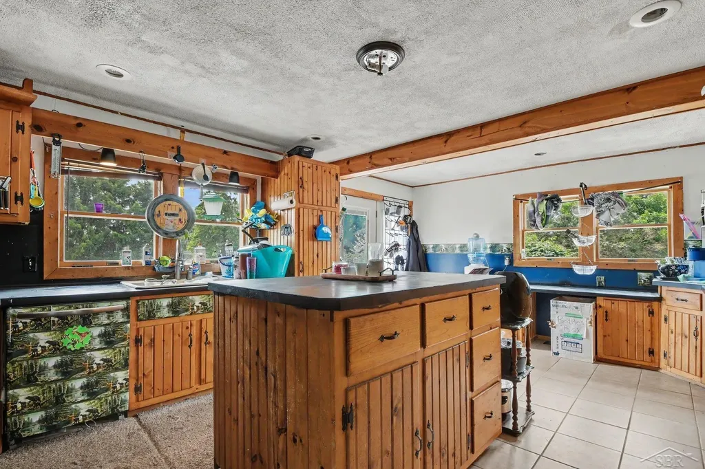 10602 Jordan Lake Road Odessa Township MI 48849