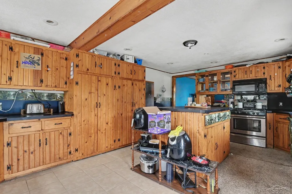 10602 Jordan Lake Road Odessa Township MI 48849