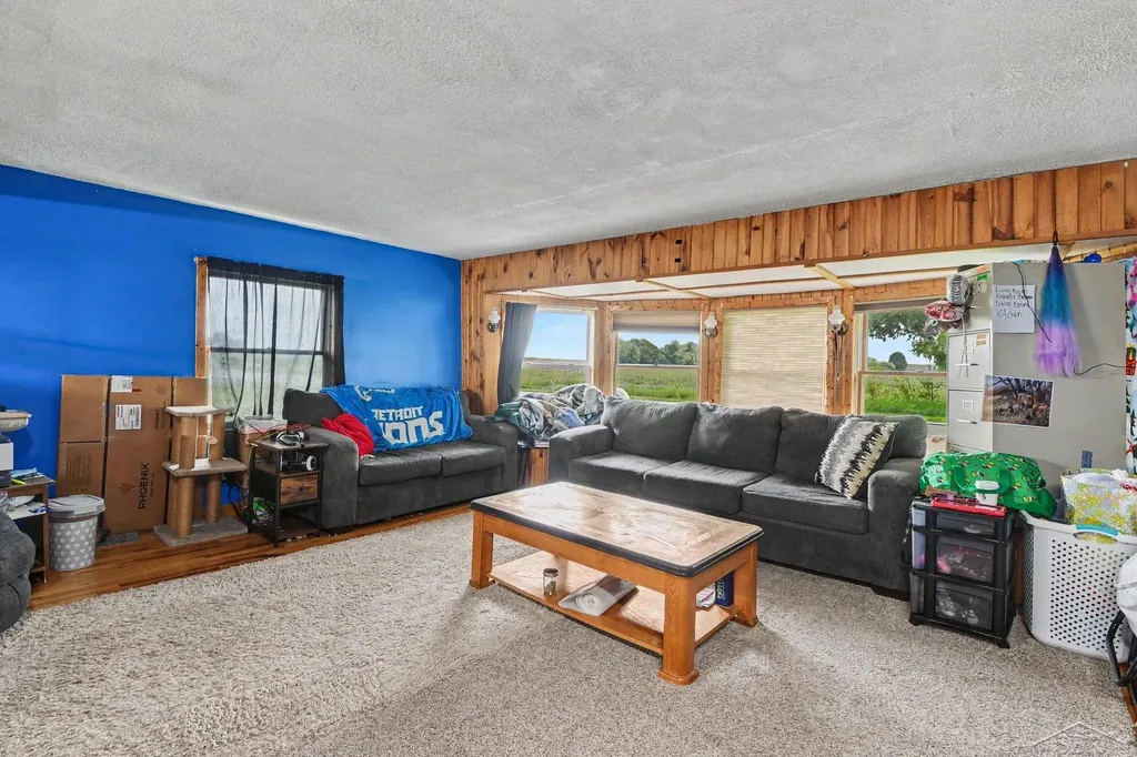 10602 Jordan Lake Road Odessa Township MI 48849