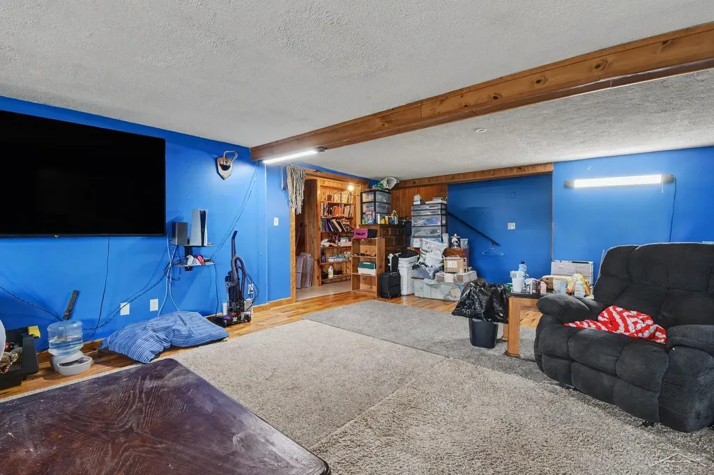 10602 Jordan Lake Road Odessa Township MI 48849