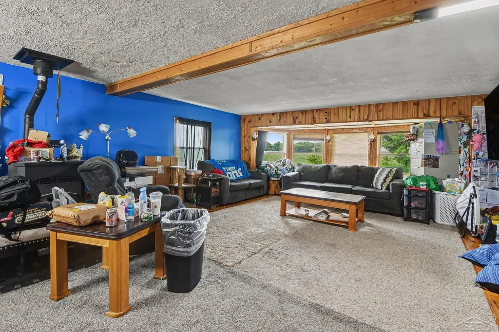 10602 Jordan Lake Road Odessa Township MI 48849