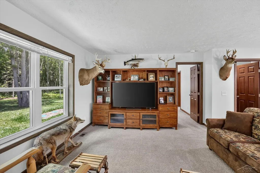 5590 N Jefferson Road Mills Township MI 48642