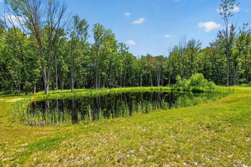 5590 N Jefferson Road Mills Township MI 48642