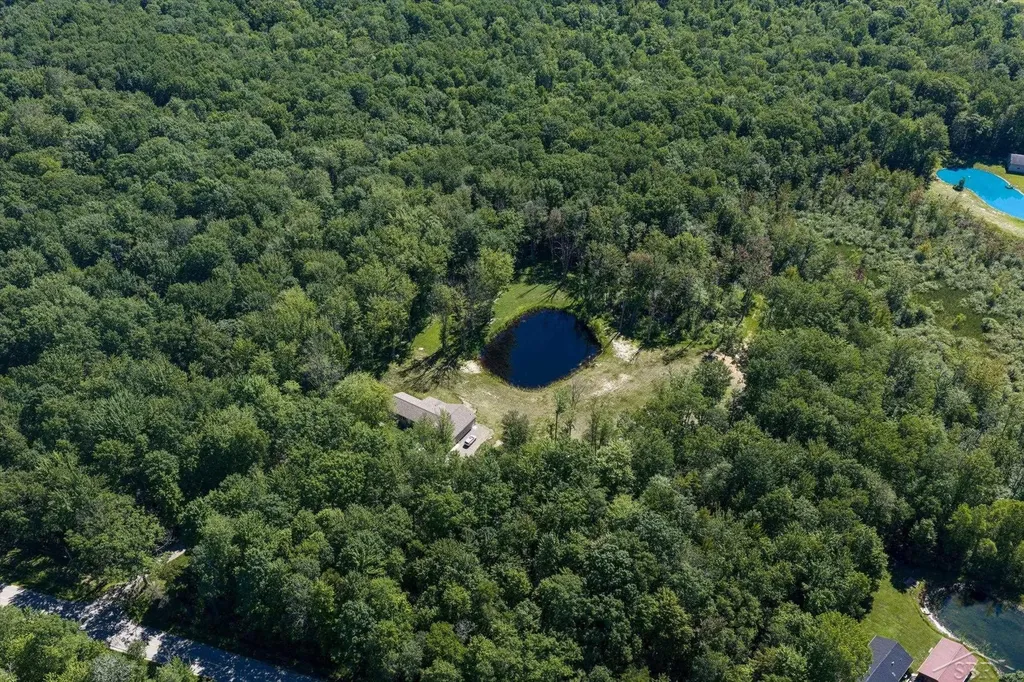 5590 N Jefferson Road Mills Township MI 48642