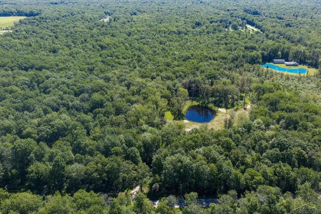 5590 N Jefferson Road Mills Township MI 48642