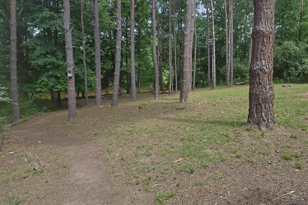 799 S Midnight Pass Homer Township MI 48640