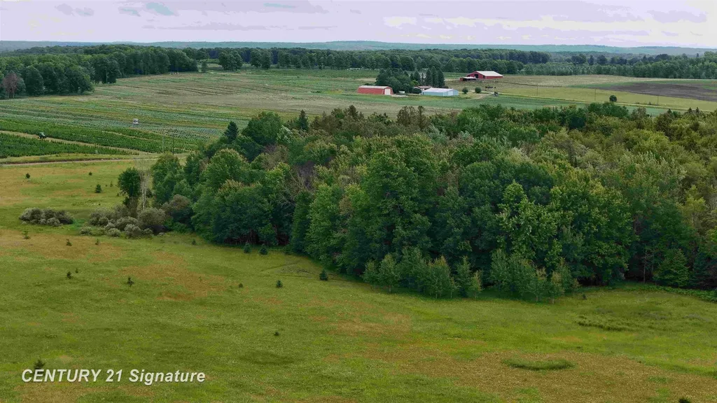 V/l County Road 477 Road Lakefield Township MI 49853