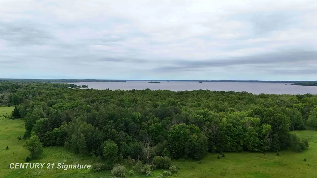 V/l County Road 477 Road Lakefield Township MI 49853