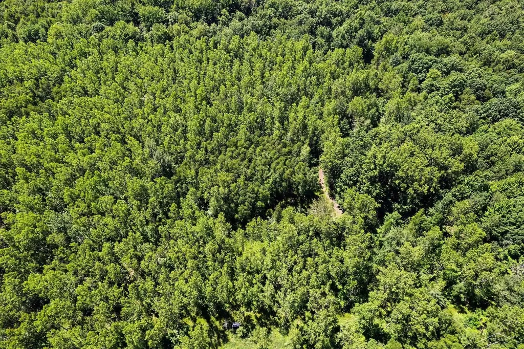 S Fenmore Road Lakefield Township MI 48637