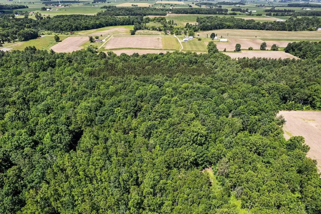 S Fenmore Road Lakefield Township MI 48637