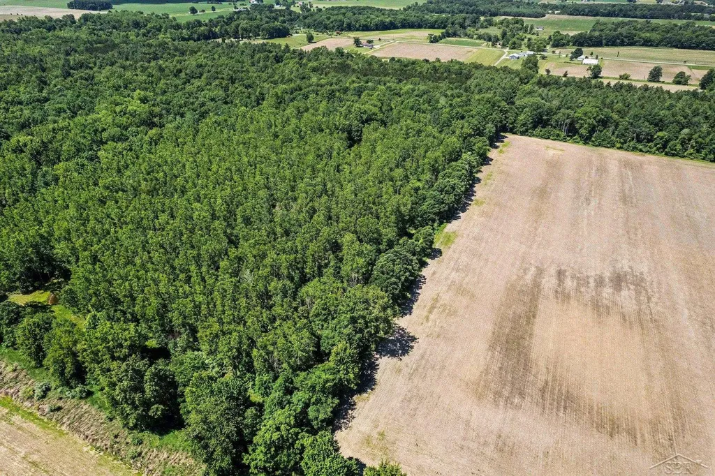 S Fenmore Road Lakefield Township MI 48637