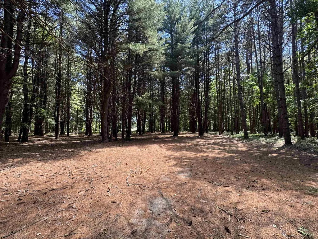 S Fenmore Road Lakefield Township MI 48637