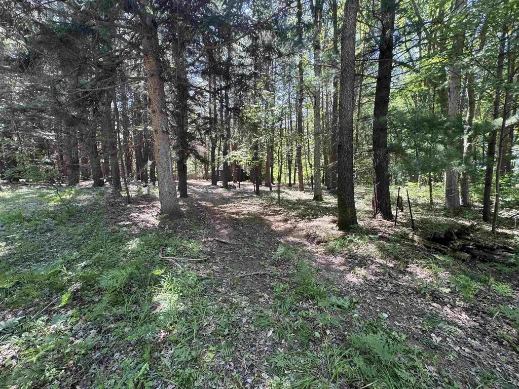 S Fenmore Road Lakefield Township MI 48637