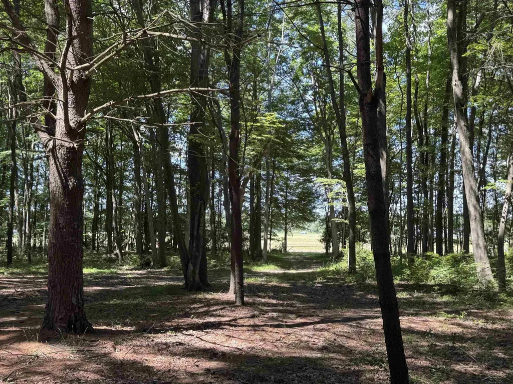 S Fenmore Road Lakefield Township MI 48637