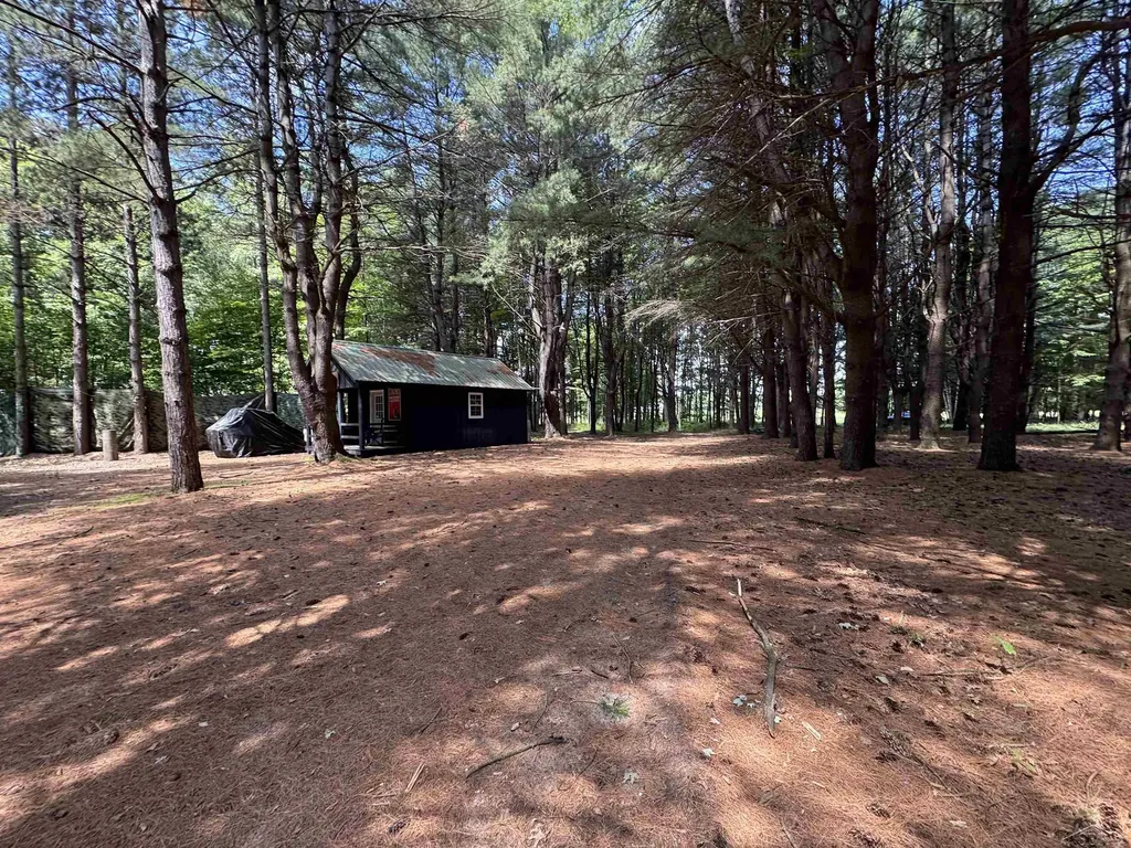 S Fenmore Road Lakefield Township MI 48637
