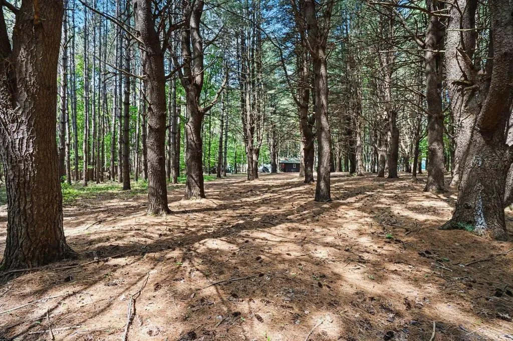 S Fenmore Road Lakefield Township MI 48637