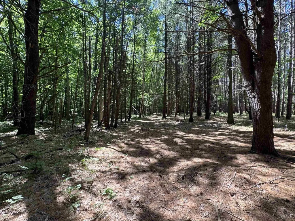 S Fenmore Road Lakefield Township MI 48637
