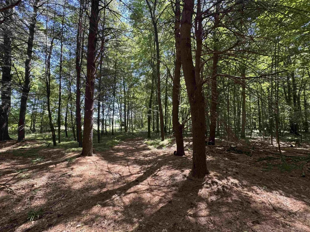 S Fenmore Road Lakefield Township MI 48637