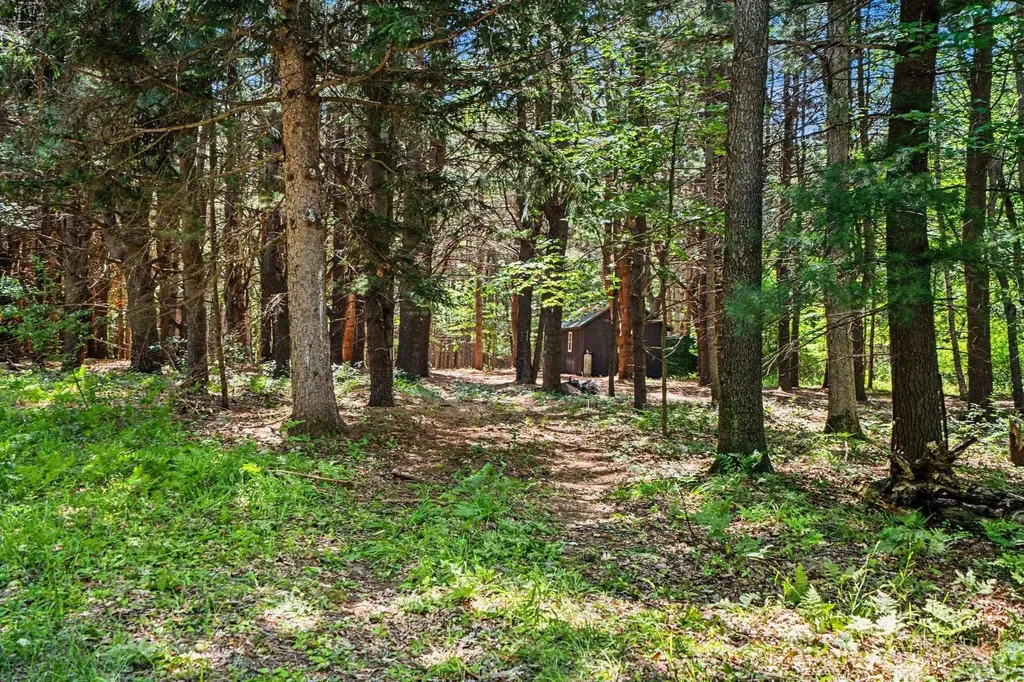 S Fenmore Road Lakefield Township MI 48637