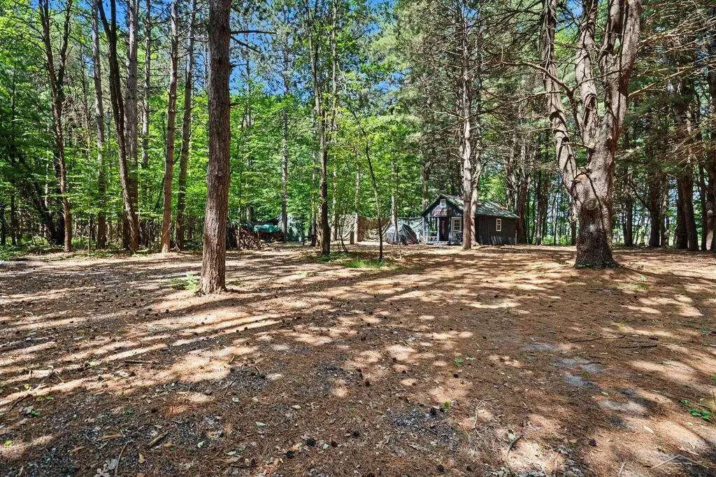 S Fenmore Road Lakefield Township MI 48637
