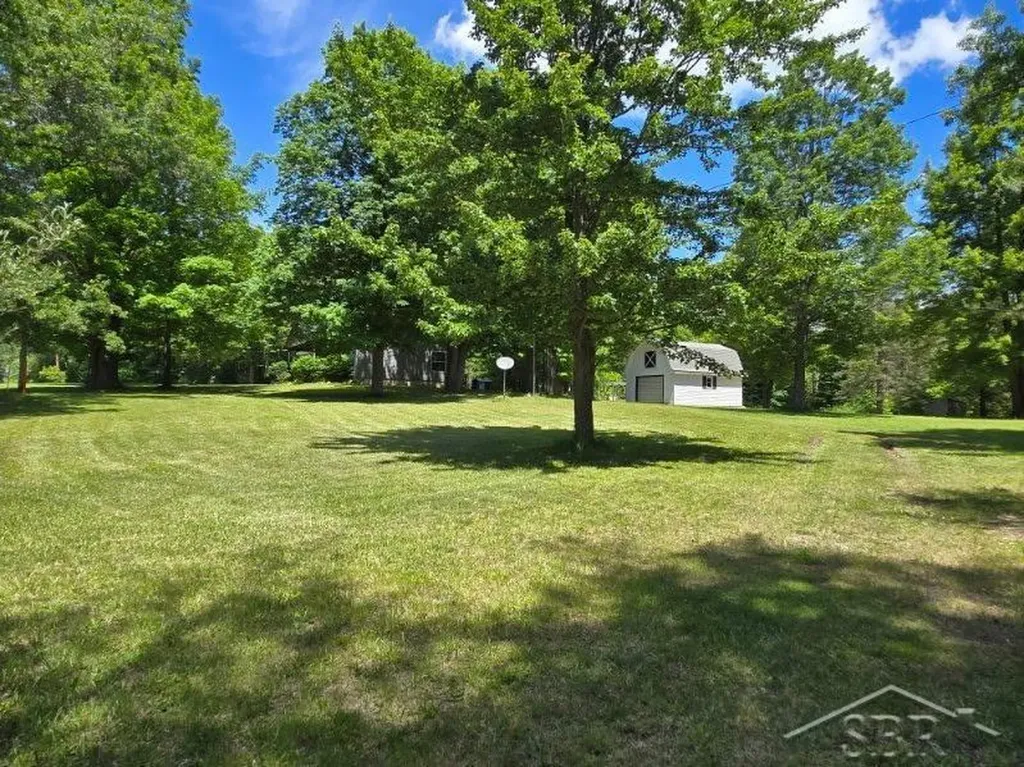 10263 Maple Valley Road Nester Township MI 48624