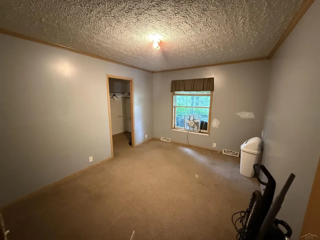 10263 Maple Valley Road Nester Township MI 48624
