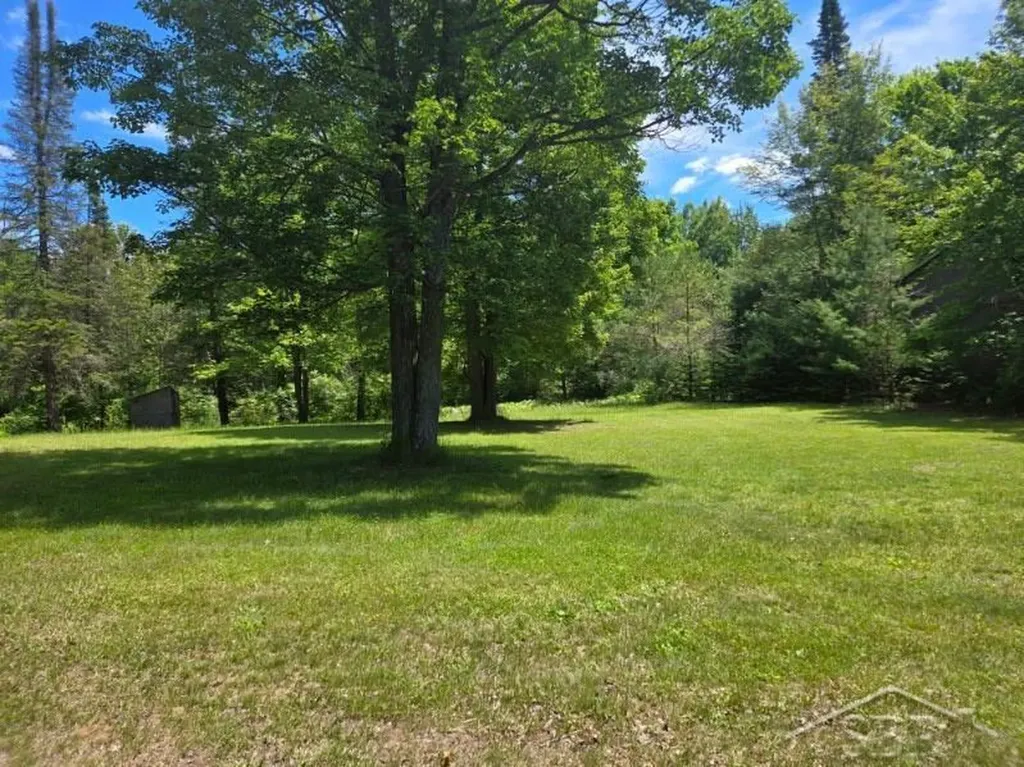 10263 Maple Valley Road Nester Township MI 48624