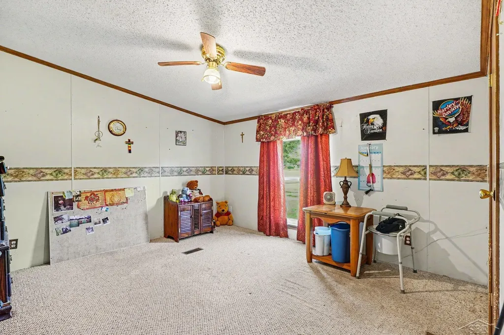 12725 Baldwin Drive Chesaning Township MI 48616