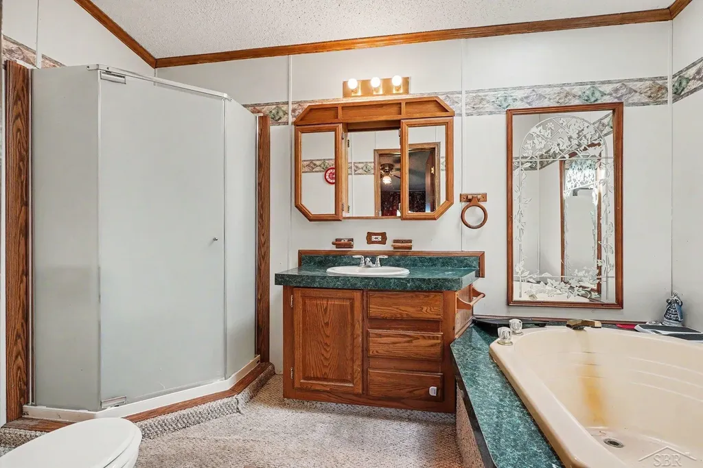 12725 Baldwin Drive Chesaning Township MI 48616